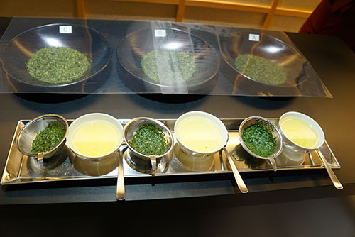 西条園わくわくミュージアムでの利き茶