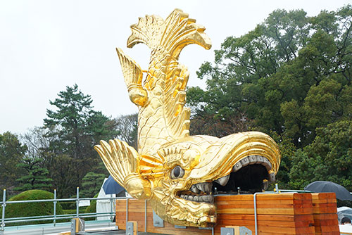 地上に降りた名古屋城の金シャチ