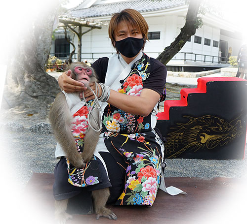 猿回し、おさるのちーちゃん