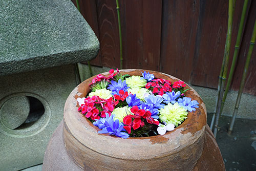 菅生神社の花手水