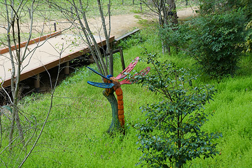 dragonfly at higashiyama 