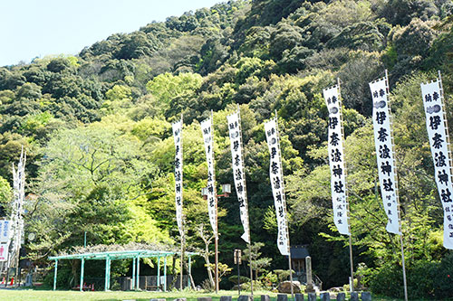 伊奈波神社まわり一帯の緑