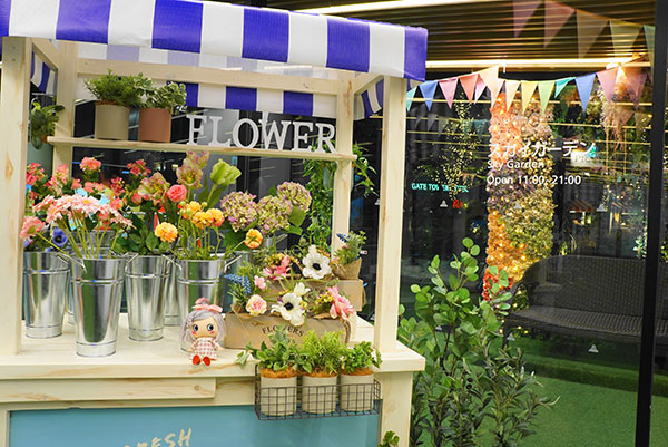 スカイガーデンへ入る手前あたりのお花