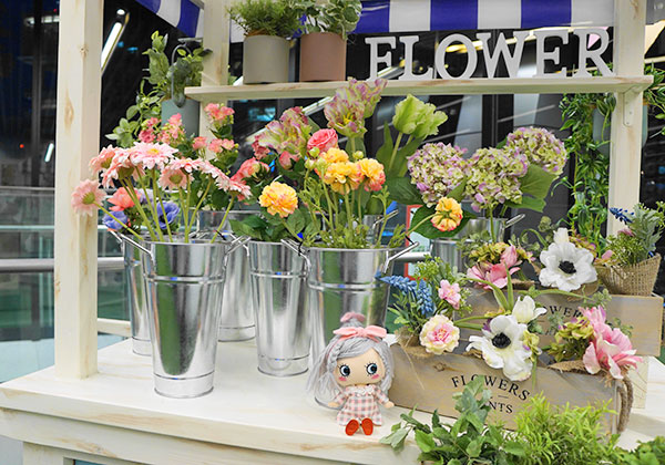 マイドールを置いてパチリ