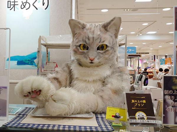 坂の上の猫プリンのみっくん