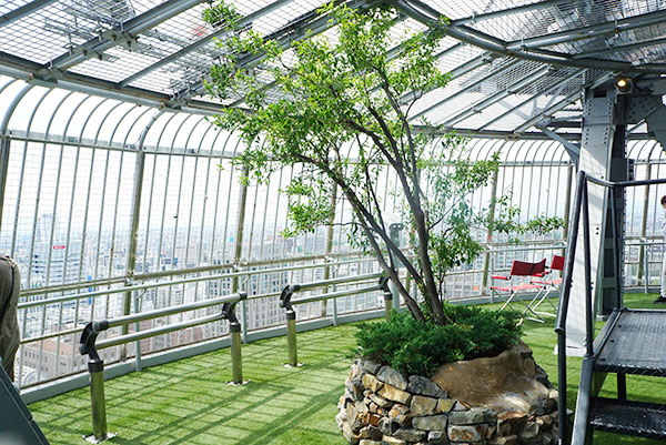 ミライタワーの展望フロアー