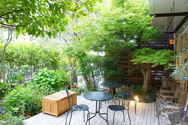 雨あがりのガーデンンシート