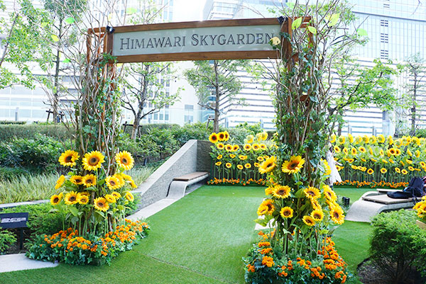 大名古屋ビルヂングのスカイガーデン