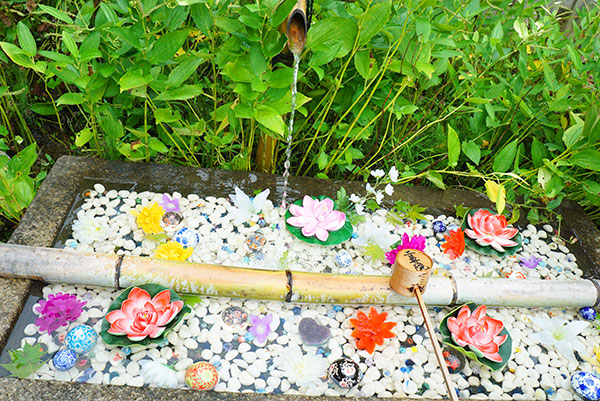 二尊院の花玉手水