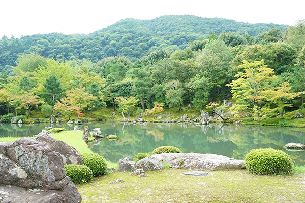 天龍寺の庭園