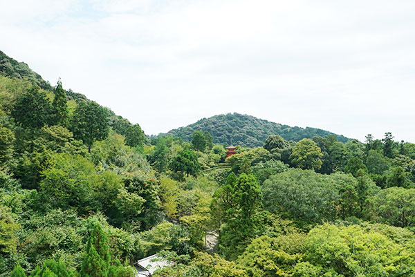 清水の舞台から観た景色