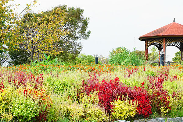 戸田川緑地の秋の風景