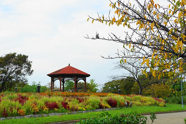 戸田川緑地の秋の風景