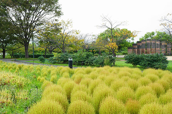 黄色や赤が、いい感じの風景