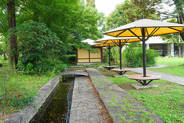 まだまだ緑もきれい