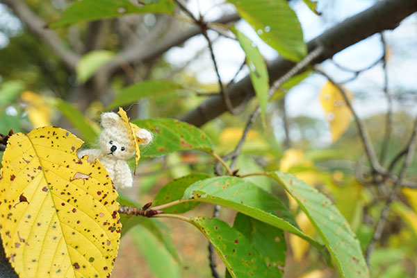 小さなクマも一緒に