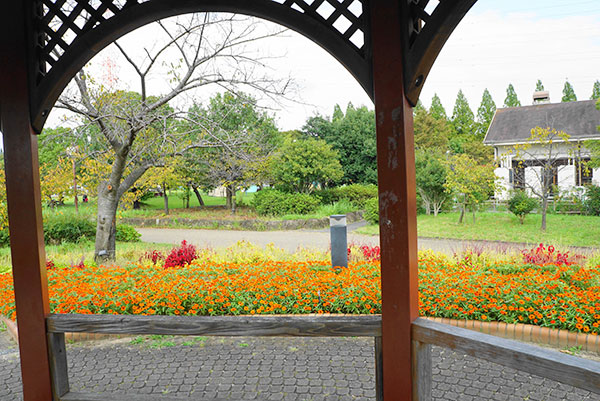 戸田川緑地の秋の風景