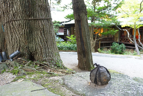 この丸いのは何でしょうか？