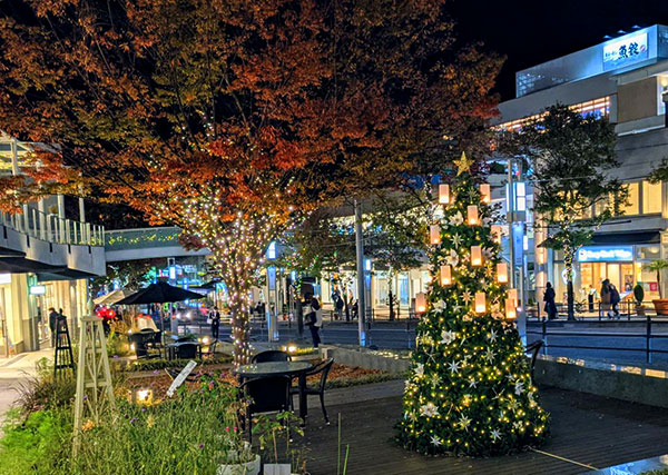 星が丘テラスのクリスマスツリー