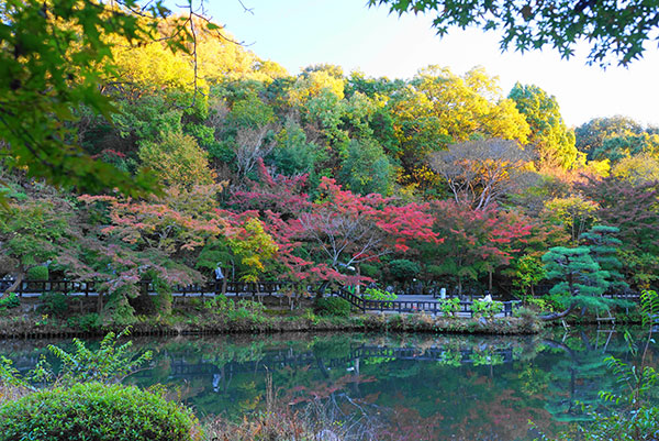 東山植物園