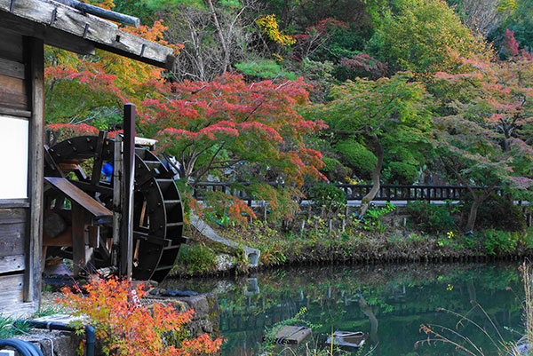 東山植物園