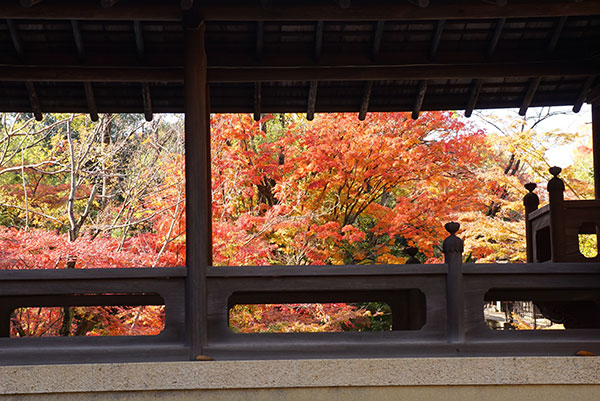 三賞亭の窓から