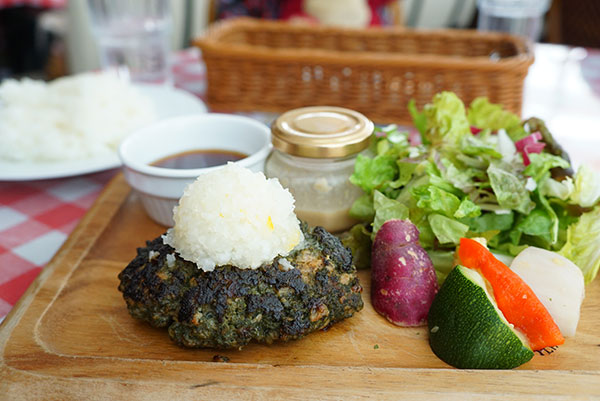 スピルリナのハンバーグ