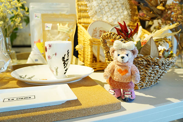 マイシェリーメイちゃん記念撮影