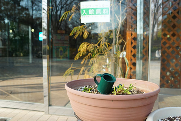 戸田川緑地のフラワーセンター