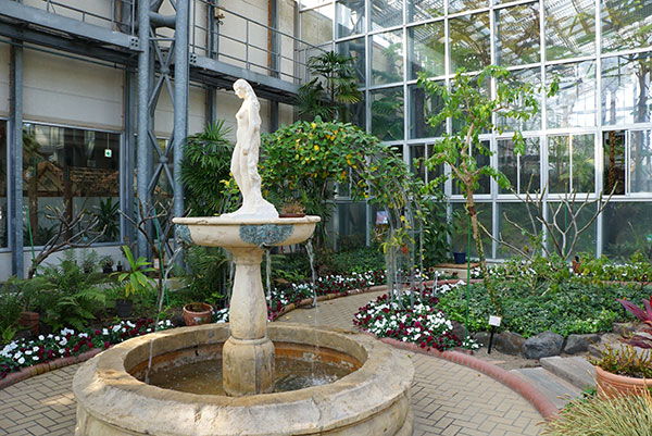 戸田川緑地フラワーセンターの四季の花園