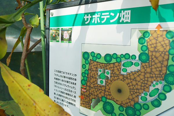戸田川緑地のフラワーセンター