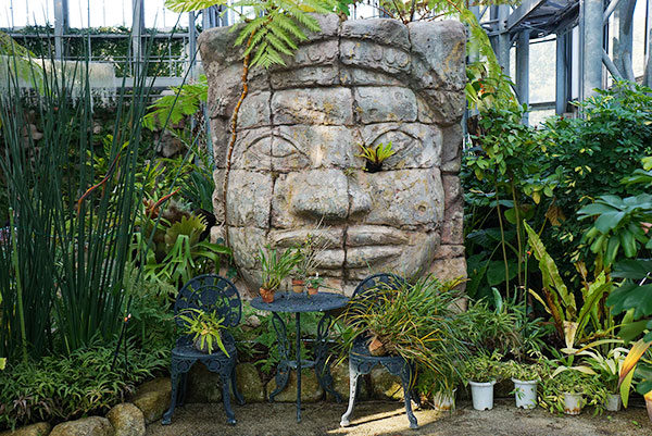 戸田川緑地のフラワーセンター内のしだの森