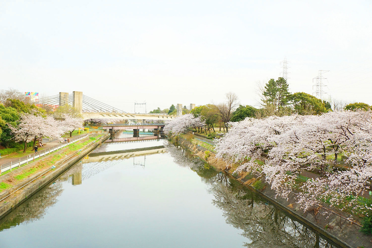 荒子川公園