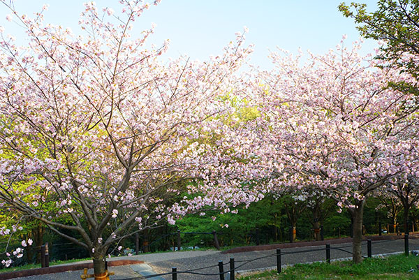 東山植物園