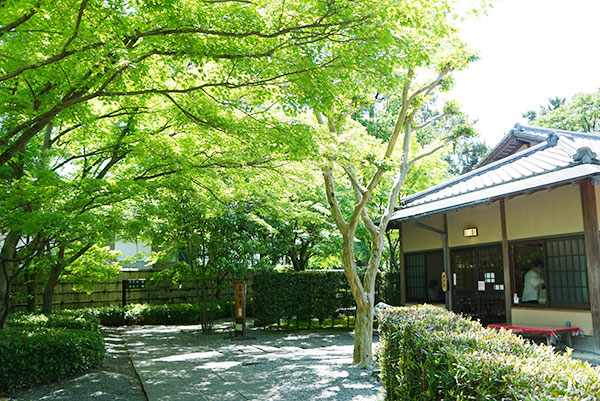 新緑がきれいな城南亭