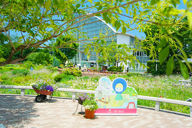 ボネットちゃん