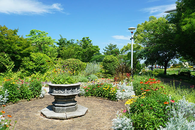 ワイルドフラワーガーデンブルーボネット