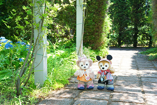 緑の中をお散歩