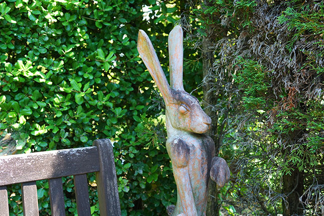 ワイルドフラワーガーデンブルーボネット