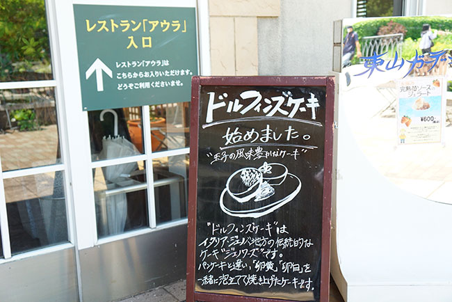 ドルフィンズケーキ案内看板