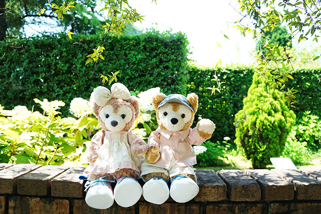 ワイルドフラワーガーデンブルーボネット