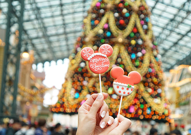 東京ディズニーランドクリスマス