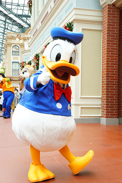 ドナルドダック