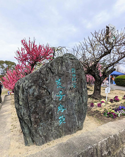 荒子公園の梅苑