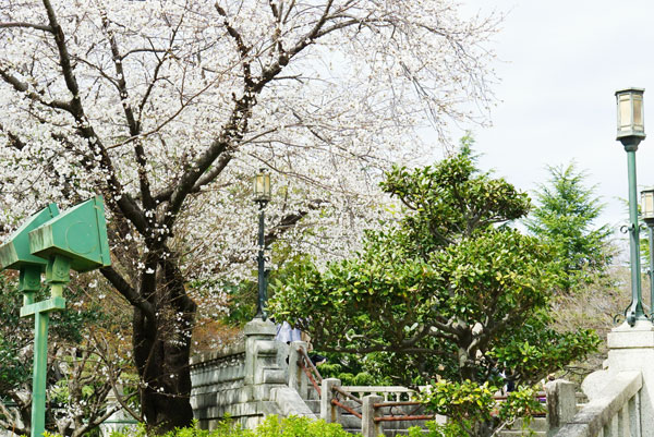 鶴舞公園