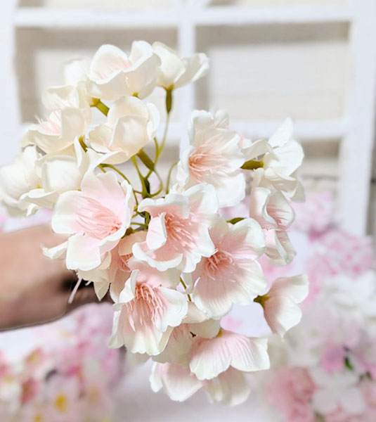 サリュ！で購入した桜