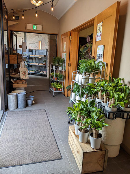 グリーンショップ