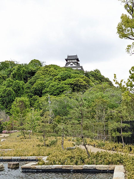 ホテルインディゴのガーデンで撮影