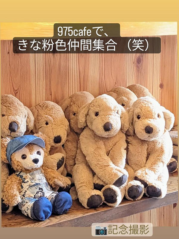 きな粉色の仲間で記念撮影