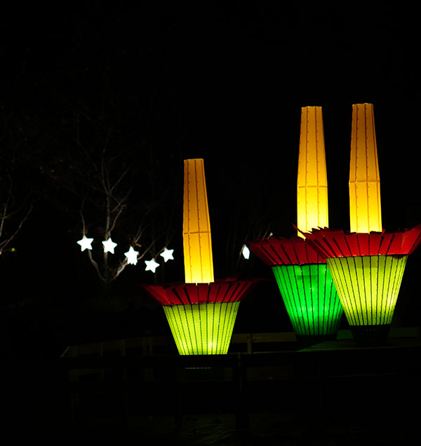東山植物園のライトアップ
